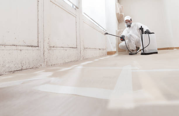 24/7 Emergency Commercial Mold Remediation experts in Lowell, MI